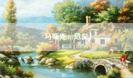 马斯克，危矣！