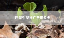 巨量引擎推广费用多少