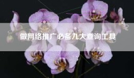 做网络推广必备九大查询工具