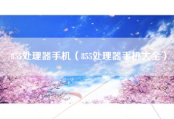 855处理器手机（855处理器手机大全）