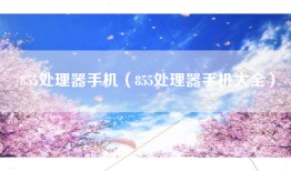 855处理器手机（855处理器手机大全）