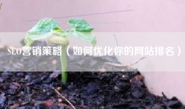 SEO营销策略（如何优化你的网站排名）