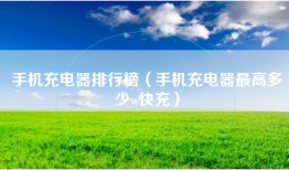 手机充电器排行榜（手机充电器最高多少w快充）