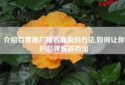 介绍百度推广排名靠前的方法,如何让你的品牌脱颖而出