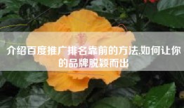 介绍百度推广排名靠前的方法,如何让你的品牌脱颖而出