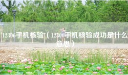 12306手机核验（12306手机核验成功是什么意思）