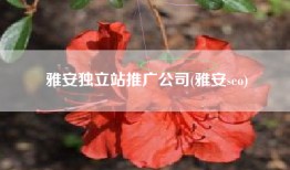 雅安独立站推广公司(雅安seo)