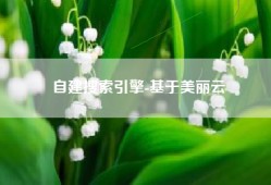 自建搜索引擎-基于美丽云