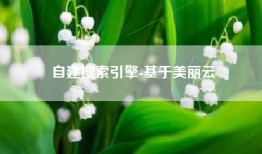 自建搜索引擎-基于美丽云