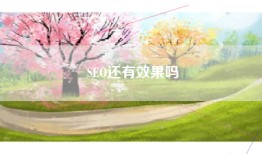 SEO还有效果吗