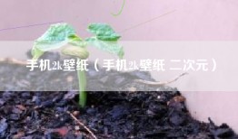 手机2k壁纸（手机2k壁纸 二次元）