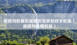 道路司机模拟器模拟驾驶游戏手机版「道路司机模拟器」
