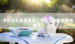 手机怎么重置系统（手机怎么重置系统版本）