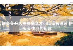 拼多多开店需要多久才可以审核通过 拼多多快羽代运营