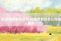 松原搜索排名公司-松原搜索排名公司有哪些