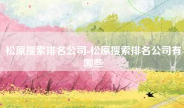 松原搜索排名公司-松原搜索排名公司有哪些