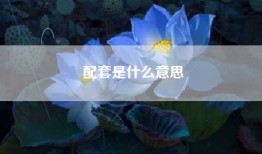配套是什么意思