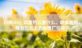 白杨SEO：百度热议是什么、收录规则、排名怎么上去和推广引流？
