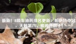 最新！B级车油耗排名更新：帕萨特夺冠，天籁第六，雅阁进前十！