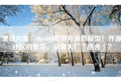 重磅内幕：OpenAI即将开源新模型！开源社区的繁荣，全靠大厂「施舍」？
