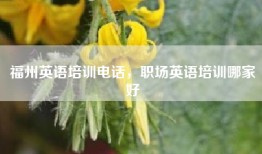 福州英语培训电话，职场英语培训哪家好