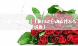 手机自动启动（手机自动启动软件怎么设置）