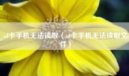 sd卡手机无法读取（sd卡手机无法读取文件）