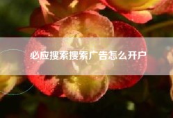 必应搜索搜索广告怎么开户
