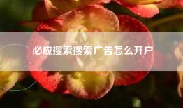 必应搜索搜索广告怎么开户
