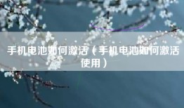 手机电池如何激活（手机电池如何激活使用）
