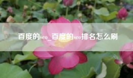 百度的seo_百度的seo排名怎么刷