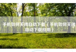 手机如何关闭自动下载（手机如何关闭自动下载应用）