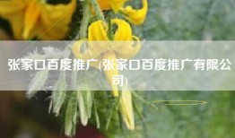 张家口百度推广(张家口百度推广有限公司)