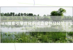 SEM搜索引擎优化的成功案例及经验分享