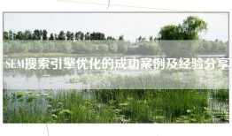 SEM搜索引擎优化的成功案例及经验分享
