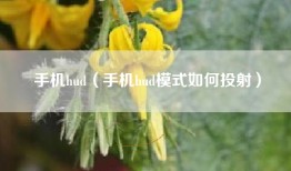 手机hud（手机hud模式如何投射）