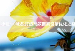 小迪SEO域名,打造高效搜索引擎优化之路