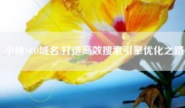 小迪SEO域名,打造高效搜索引擎优化之路