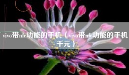 vivo带nfc功能的手机（vivo带nfc功能的手机千元）