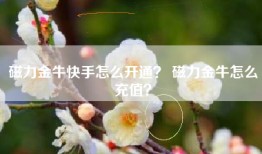 磁力金牛快手怎么开通？ 磁力金牛怎么充值？
