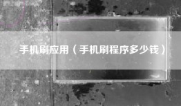 手机刷应用（手机刷程序多少钱）