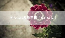 WiFiAudio各种手机「WiFiAudio」