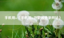 手机用ie（手机用ie浏览器登录网站）