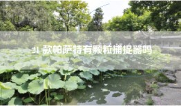 21 款帕萨特有颗粒捕捉器吗
