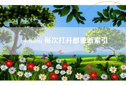 pycharm 每次打开都重新索引