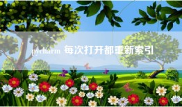 pycharm 每次打开都重新索引