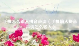 手机怎么输入拼音声调（手机输入拼音声调怎么输入）
