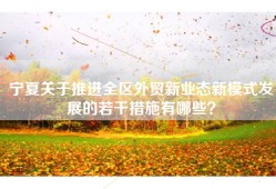 宁夏关于推进全区外贸新业态新模式发展的若干措施有哪些？