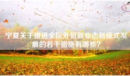 宁夏关于推进全区外贸新业态新模式发展的若干措施有哪些？