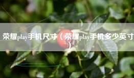 荣耀play手机尺寸（荣耀play手机多少英寸）